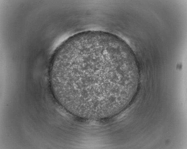 X0000090411263200707272041