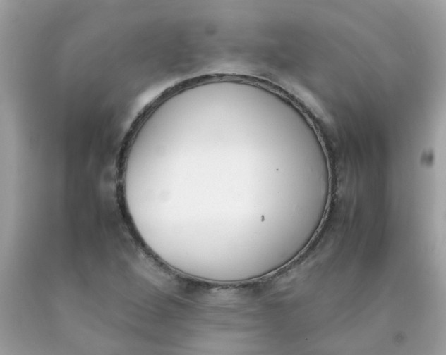 X0000090411264200707272041