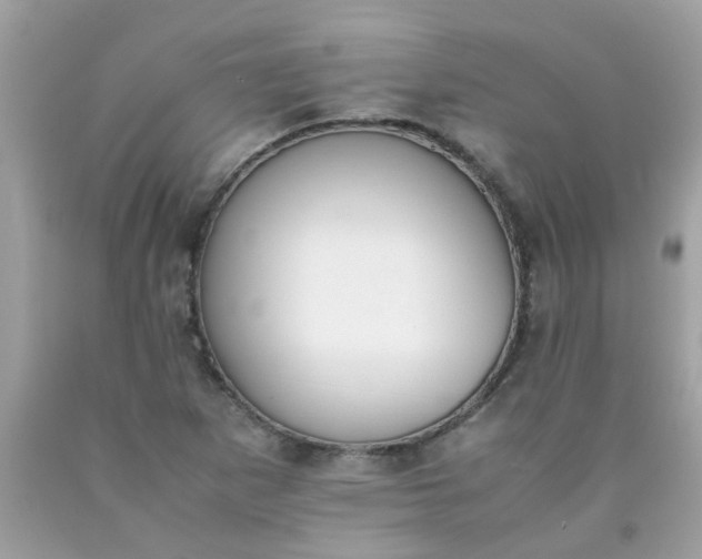 X0000090411265200707272041
