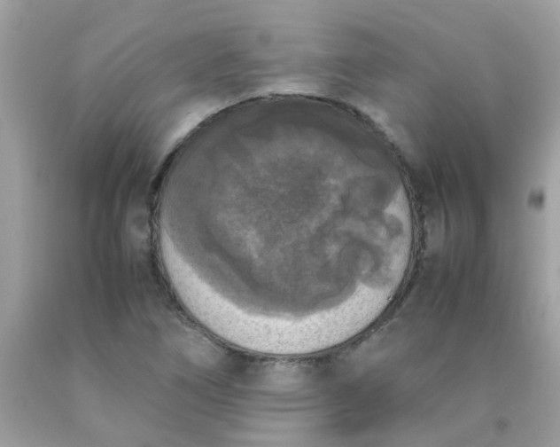 X0000090411266200707272041