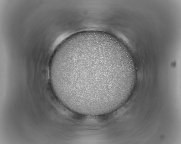 X0000090411267200707272041