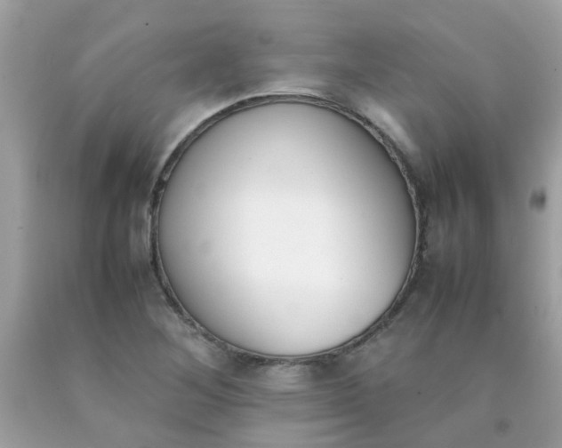 X0000090411268200707272041
