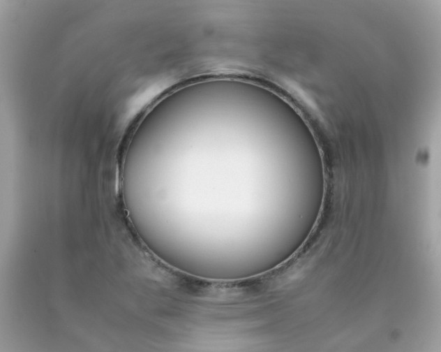 X0000090411269200707272041
