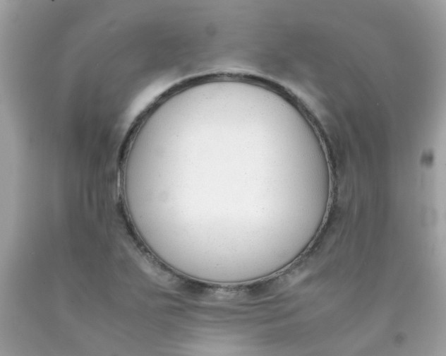 X0000090411271200707272041