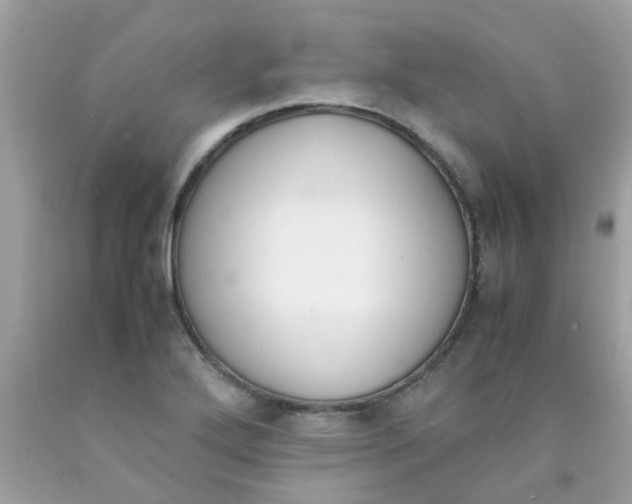 X0000090411272200707272041