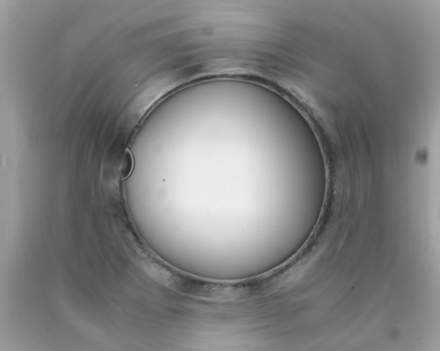 X0000090411273200707272041
