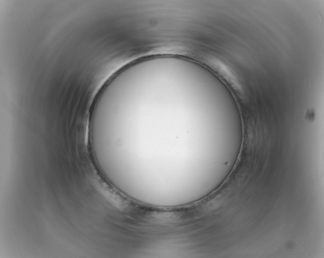 X0000090411276200707272041