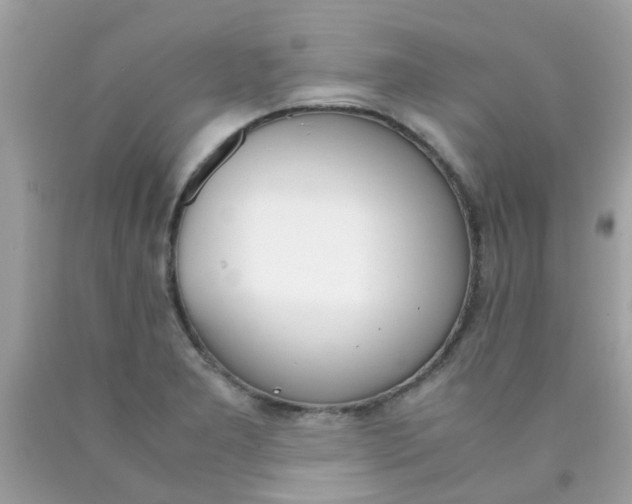 X0000090411277200707272041