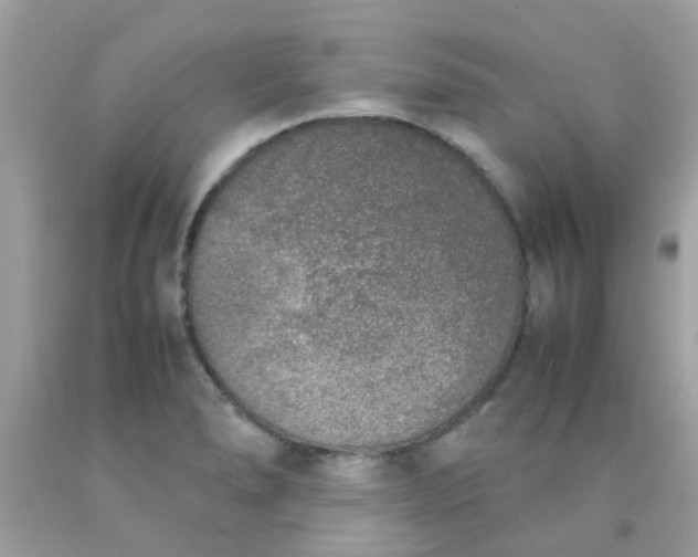 X0000090411278200707272041