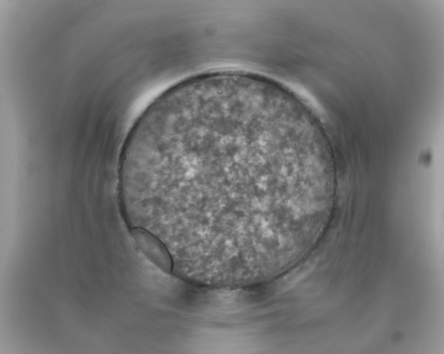 X0000090411279200707272041