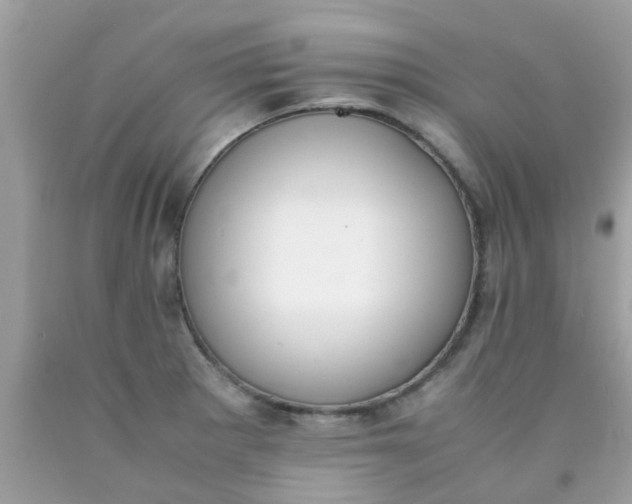 X0000090411281200707272041