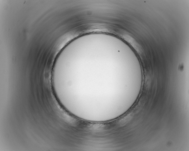 X0000090411282200707272041