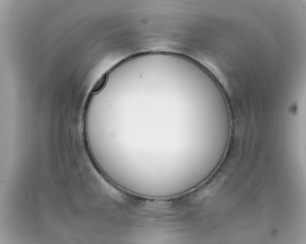 X0000090411285200707272041