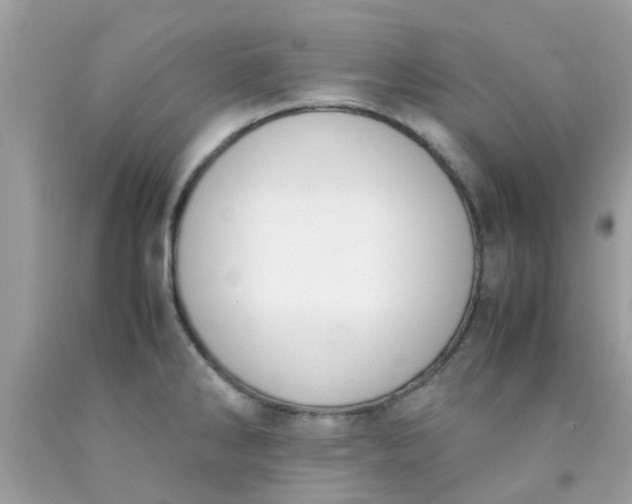 X0000090411286200707272041