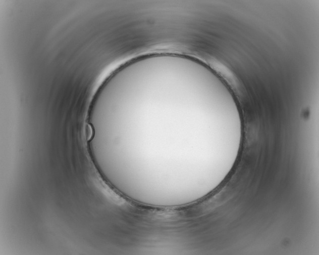 X0000090411288200707272041