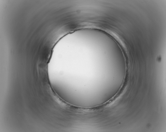 X0000090411289200707272041