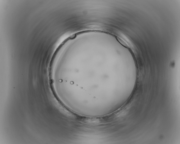 X0000090411291200707272041