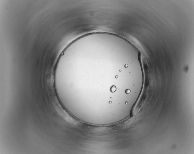 X0000090411292200707272041