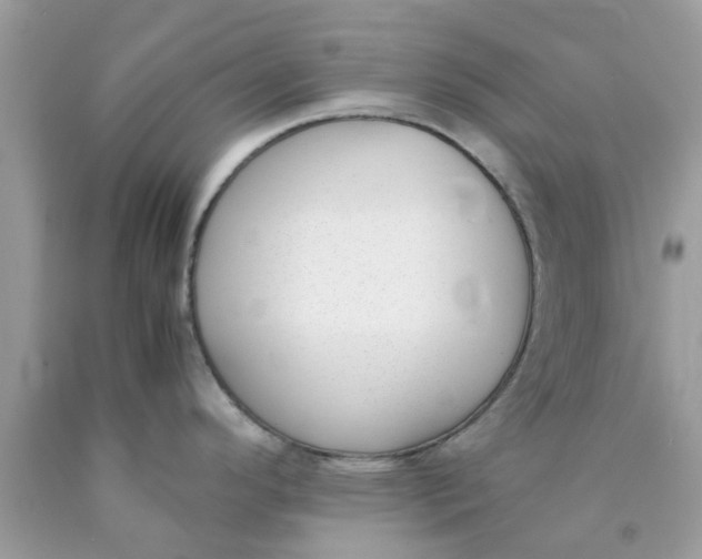 X0000090411296200707272041