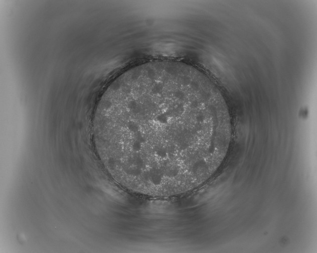X0000090411297200707272040