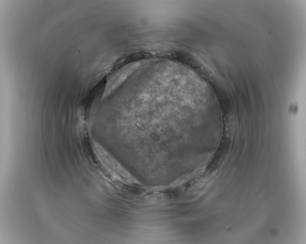 X0000090411298200707272040
