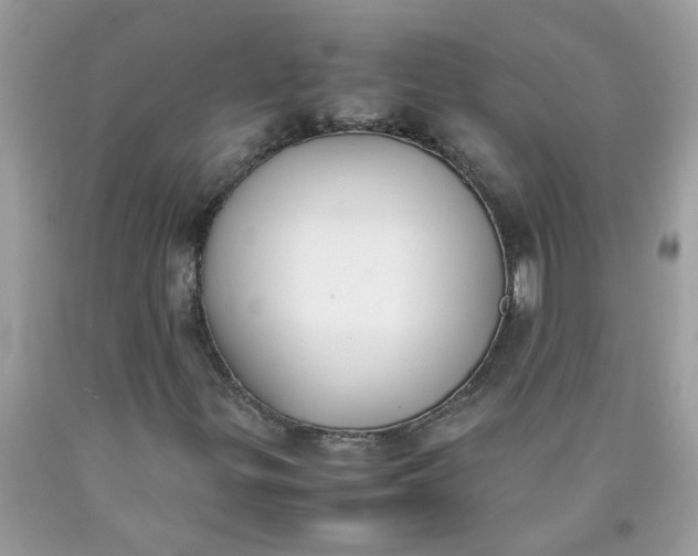 X0000090411299200707272040