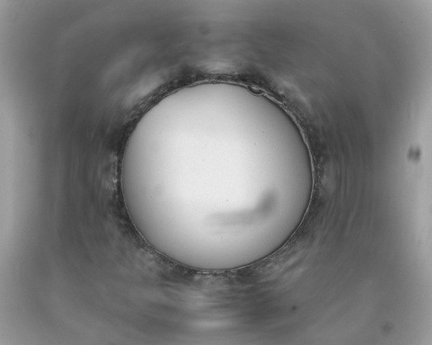 X0000090411301200707272040