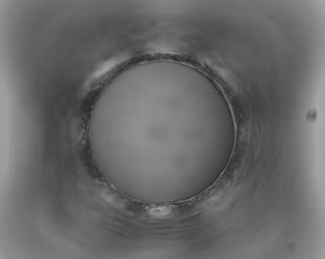 X0000090411303200707272040