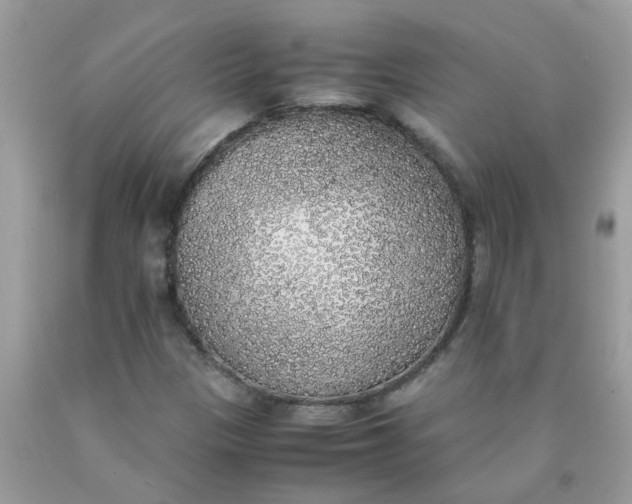 X0000090411305200707272040