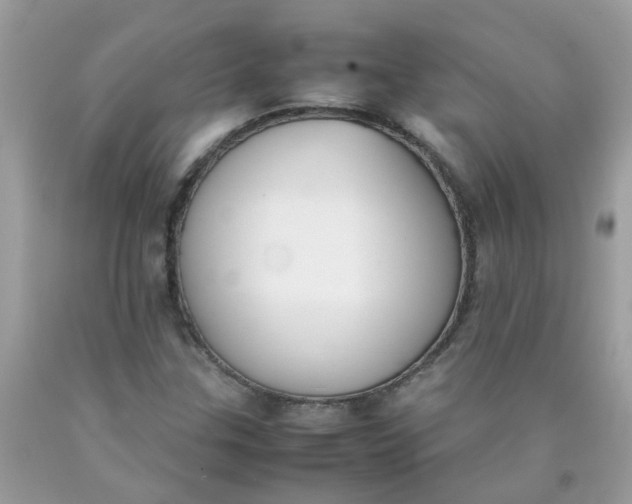 X0000090411307200707272040