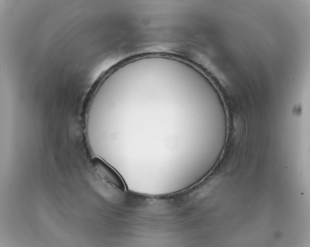X0000090411308200707272040