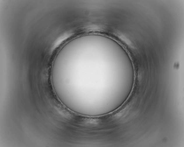 X0000090411309200707272040