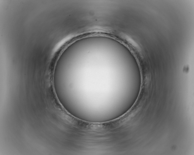 X0000090411310200707272040