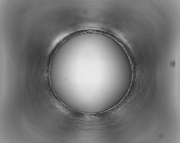 X0000090411312200707272040