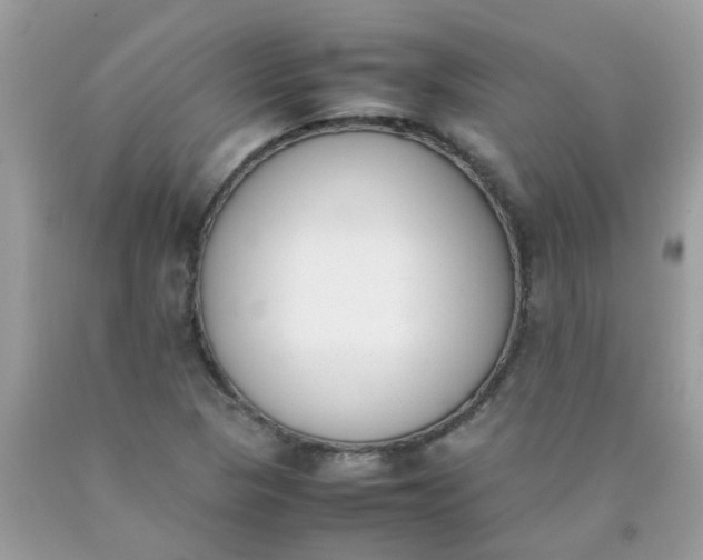 X0000090411313200707272040