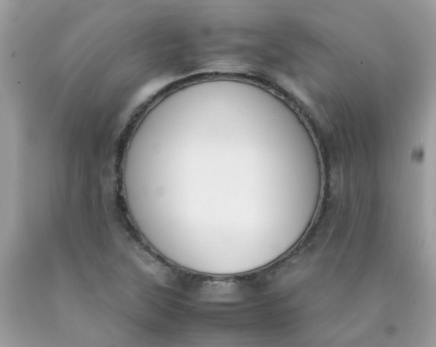 X0000090411315200707272040