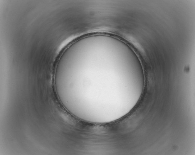 X0000090411316200707272041
