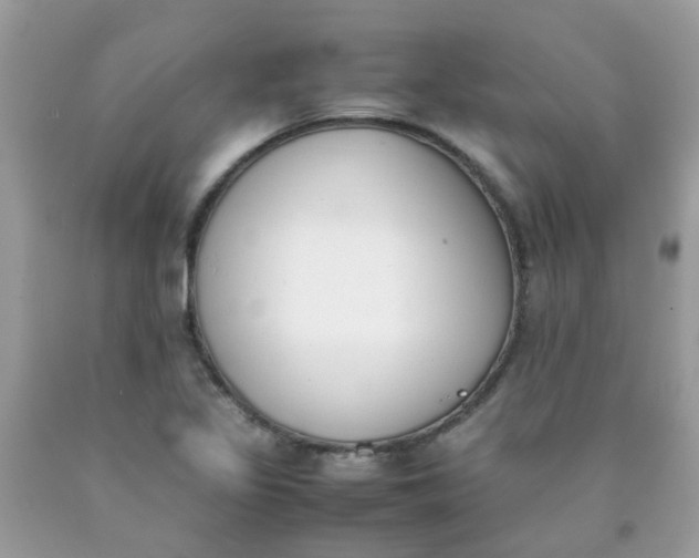 X0000090411317200707272041