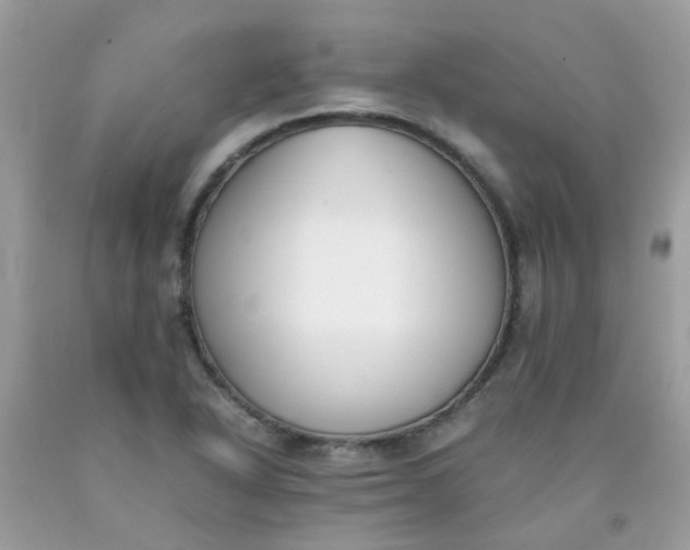X0000090411318200707272041