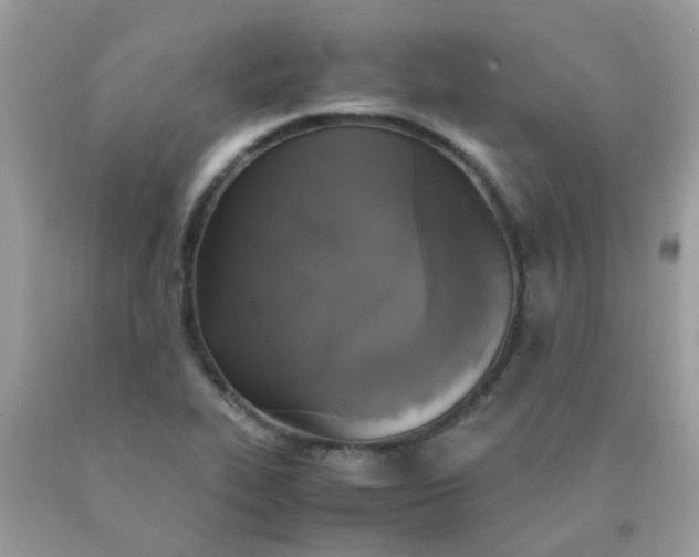 X0000090411319200707272041
