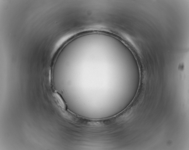 X0000090411320200707272041