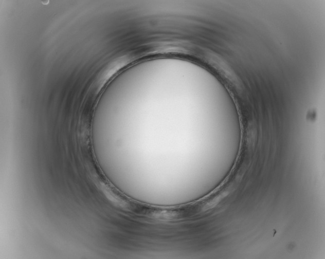 X0000090411321200707272041