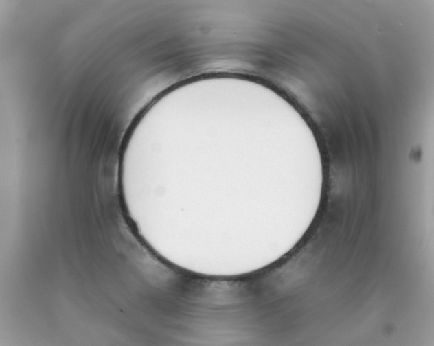 X0000090411322200707272041