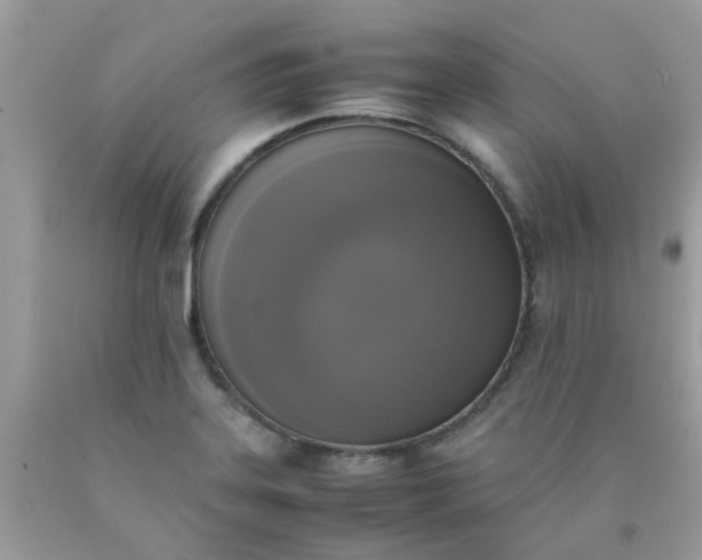 X0000090411323200707272041