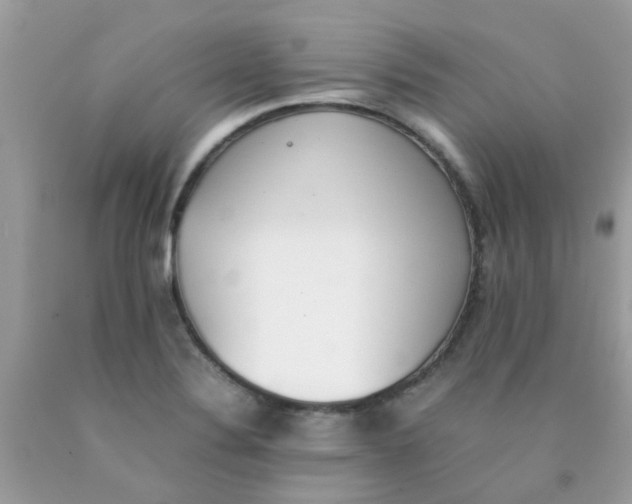X0000090411324200707272041