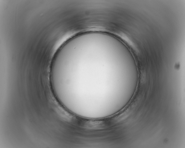 X0000090411325200707272041