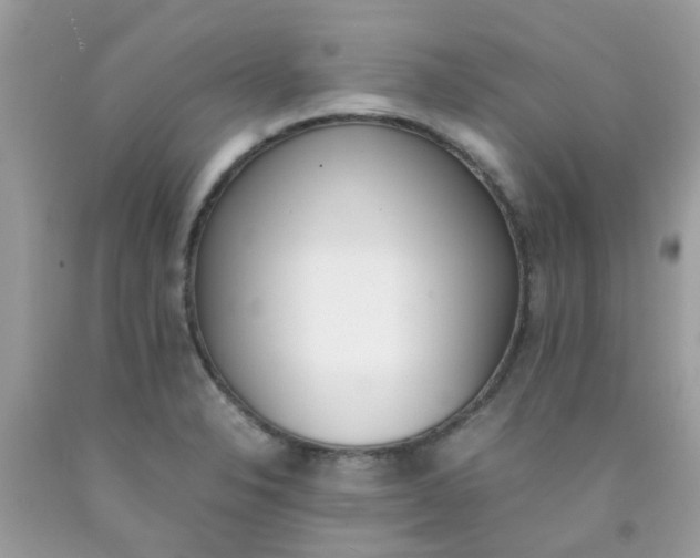 X0000090411326200707272041