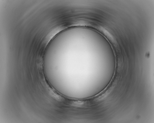 X0000090411329200707272041