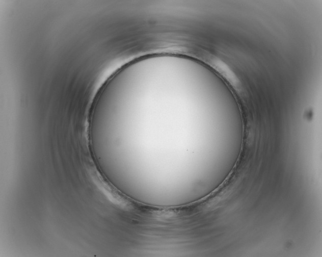 X0000090411332200707272041