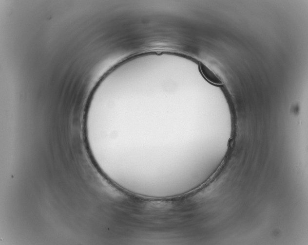 X0000090411333200707272041